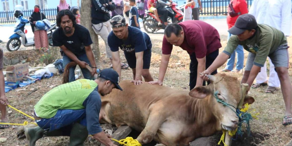 Pedoman Lengkap Syarat Qurban Idul Adha